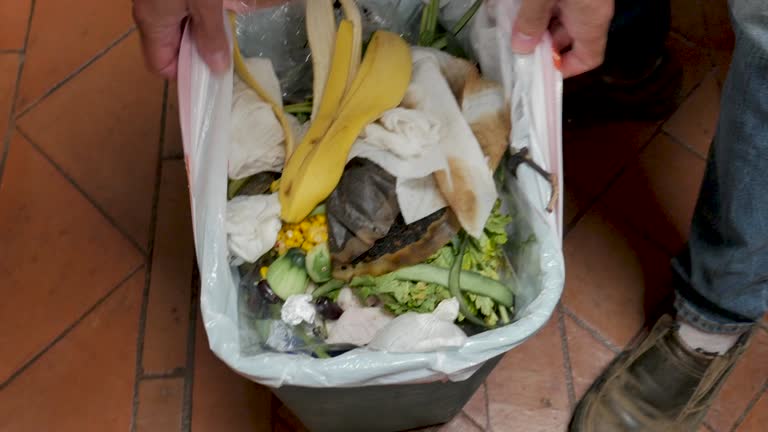 Best Commercial Junk Removal  in Manistee, MI
